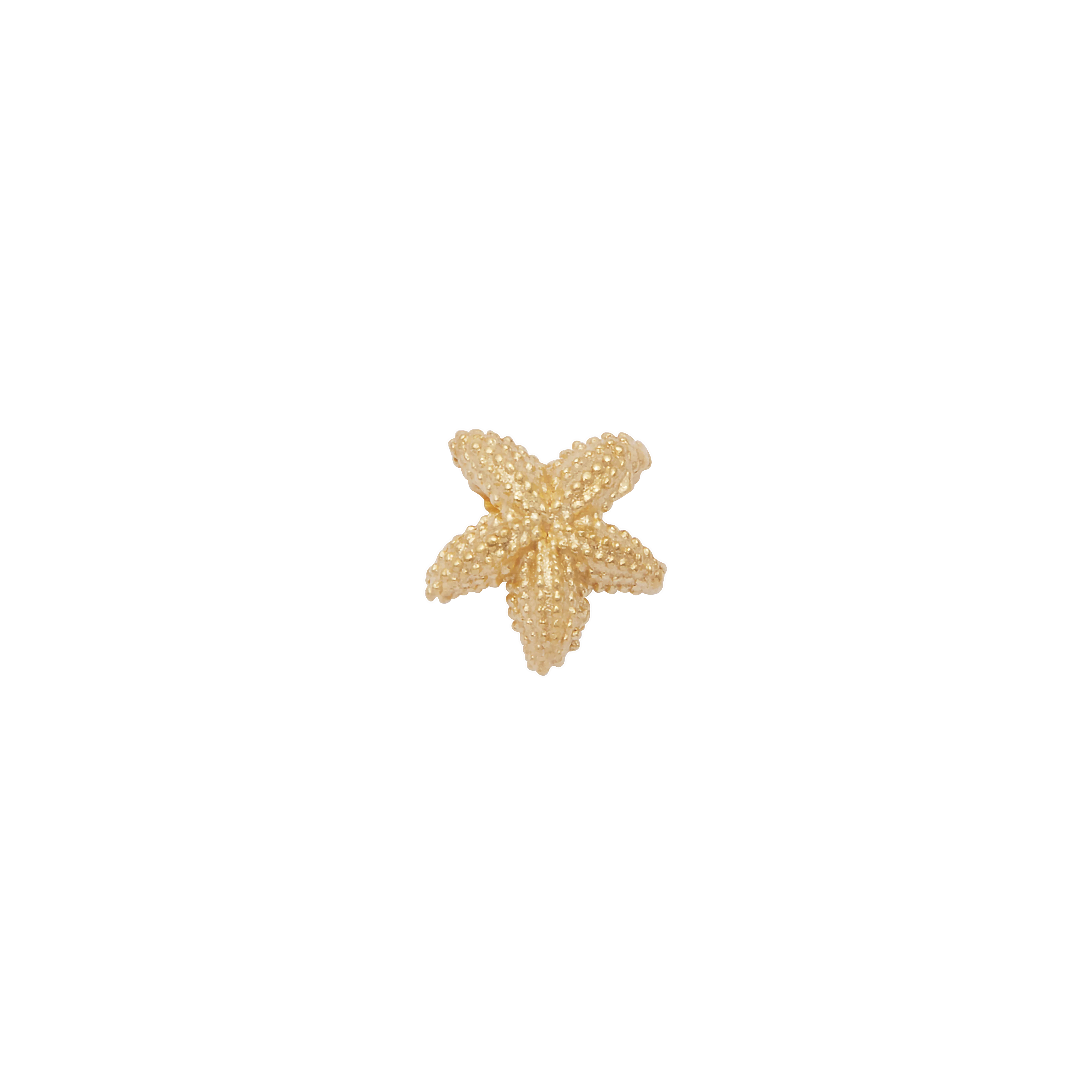Nerida Slider Charm - Gold